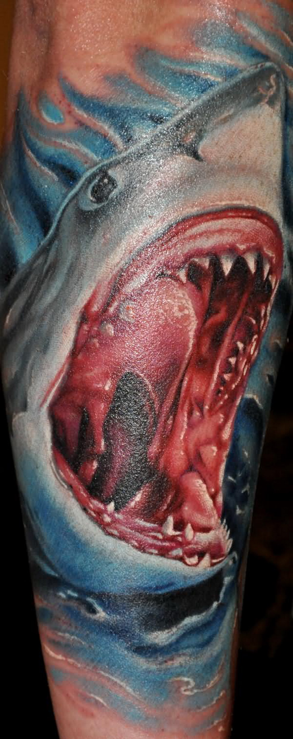 Top 70 shark tattoo on forearm best  thtantai2