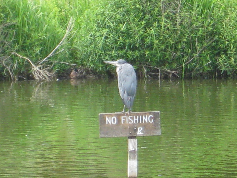 Norfolk Fishing Network 2004 - 2023 - No Fishing Signs 12
