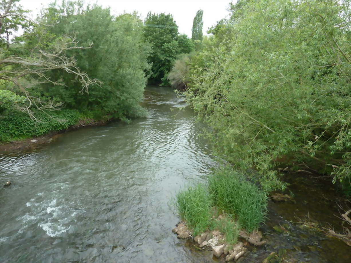 Herefordshire Fishing Venues