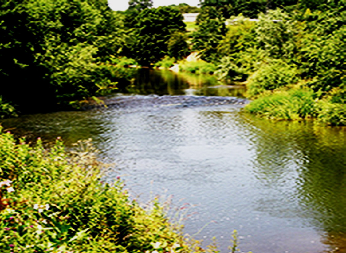 Herefordshire Fishing Venues